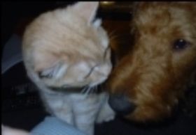 Alfi mit Leon.jpg